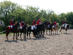 549523_10151090371023585_6628476_n